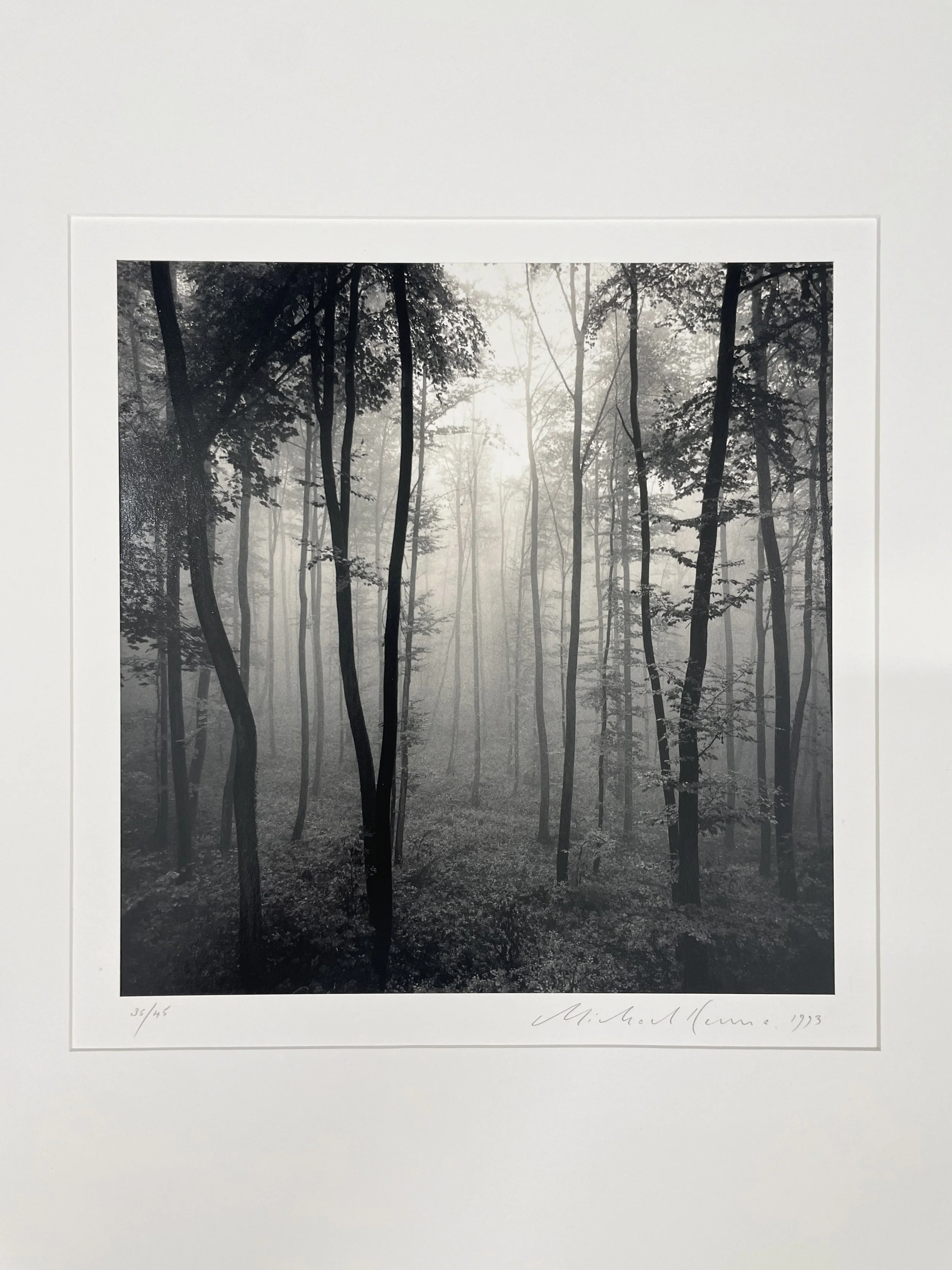 Michael Kenna: Jura Forest, Dornach, Switzerland, 1993 — PDNB
